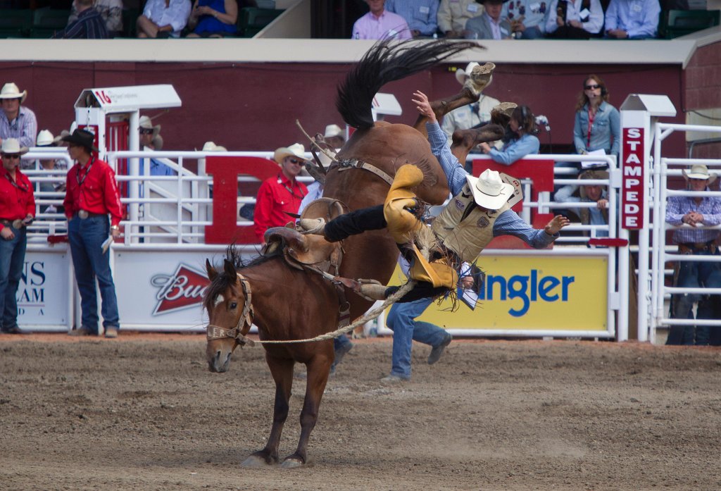 Calgary Stampede-1716.jpg